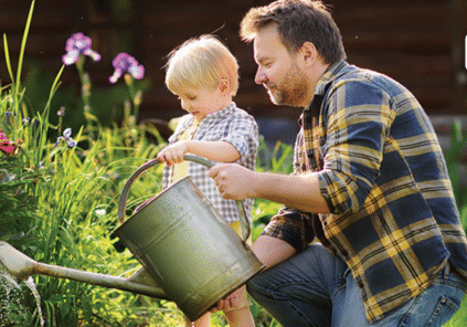 NW Newsletter Header (14)