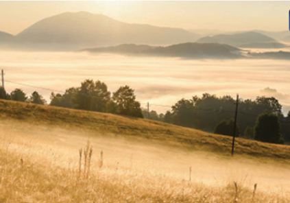 NW Newsletter Header (19)