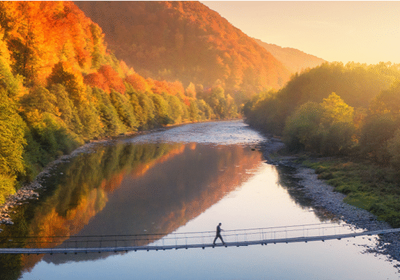 Numeric Wealth June Newsletter Featured image